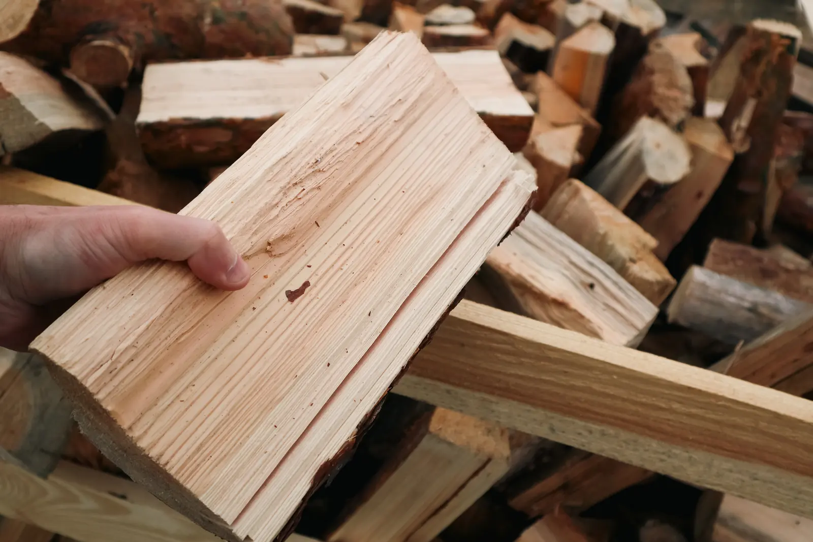 Selecting seasoned Southern African hardwood by hand