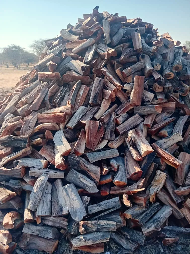 Seasoned hardwood firewood stacked for supply